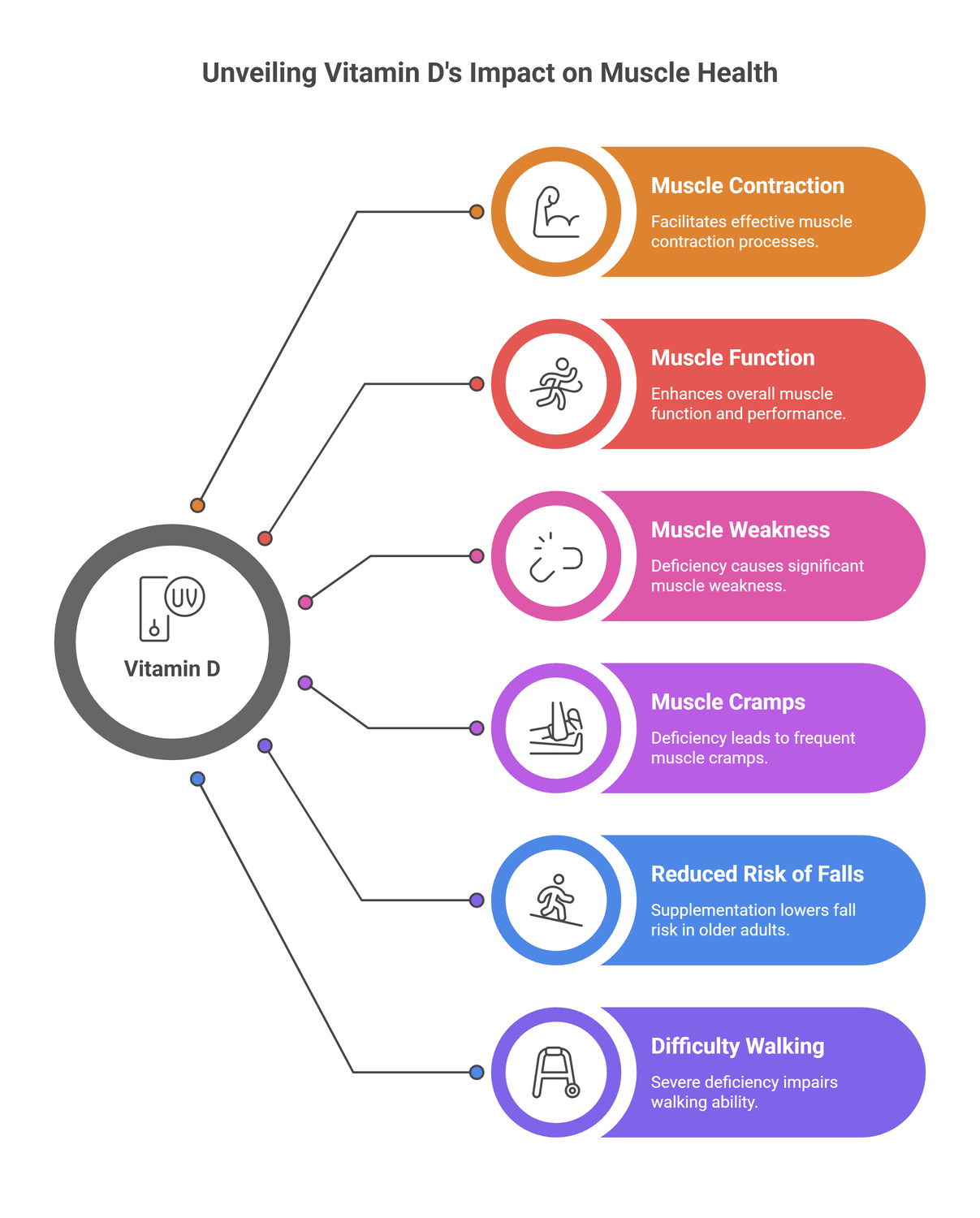 infograph of vitamin D role in Improving Muscle Strength