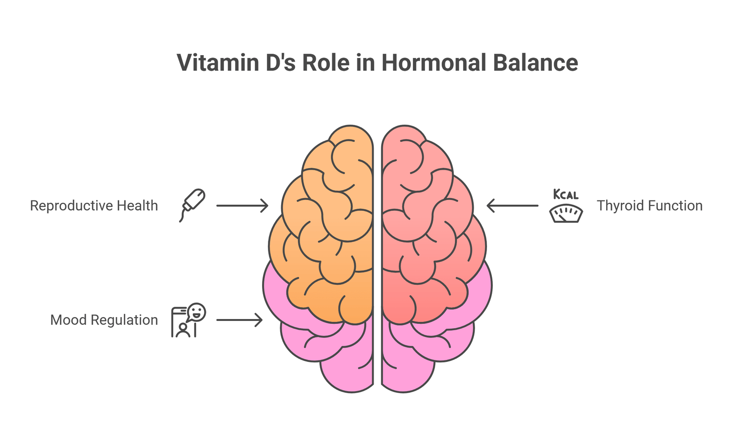 infograph of vitamin D role in Regulating Hormones and Mood