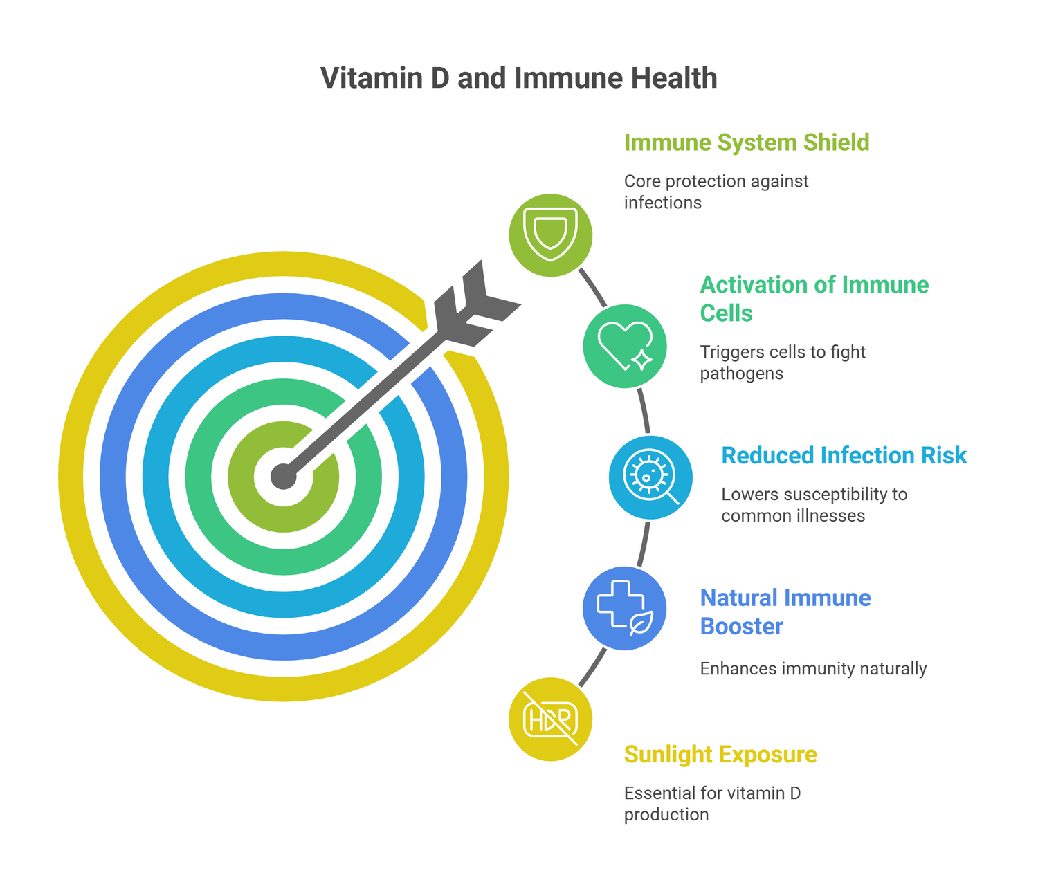 infograph in vitamin D role in Supporting the Immune System
