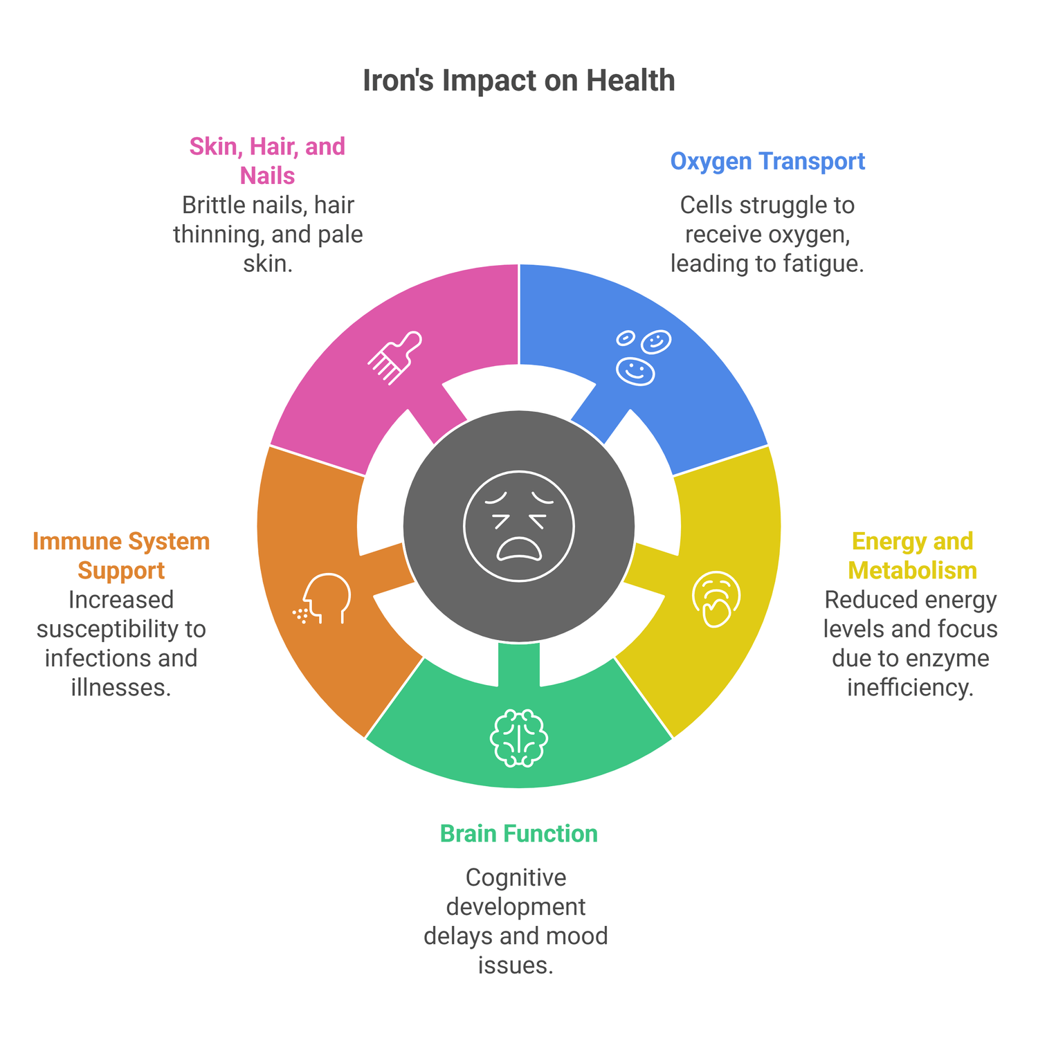 infograph of role of iron