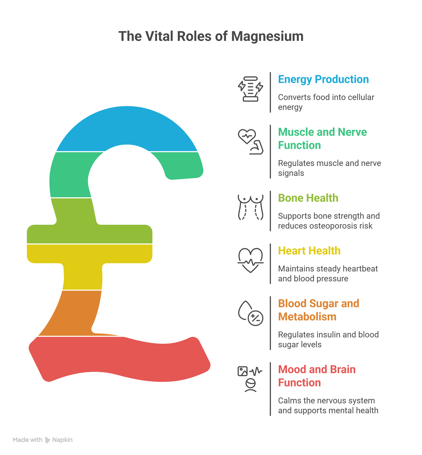 infograph of vital and essential roles of magnesium
