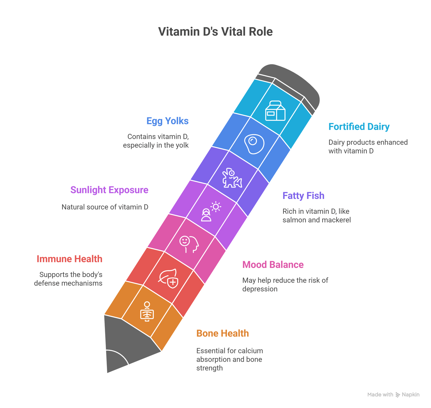 infograph of the vital role of vitamin D