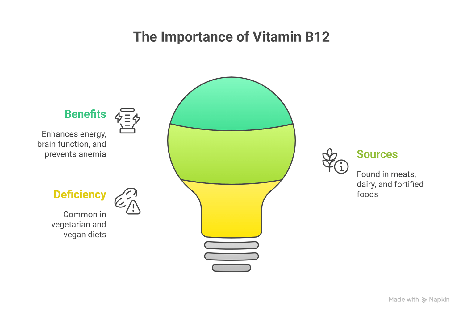 infograph of importance of vitamin B12
