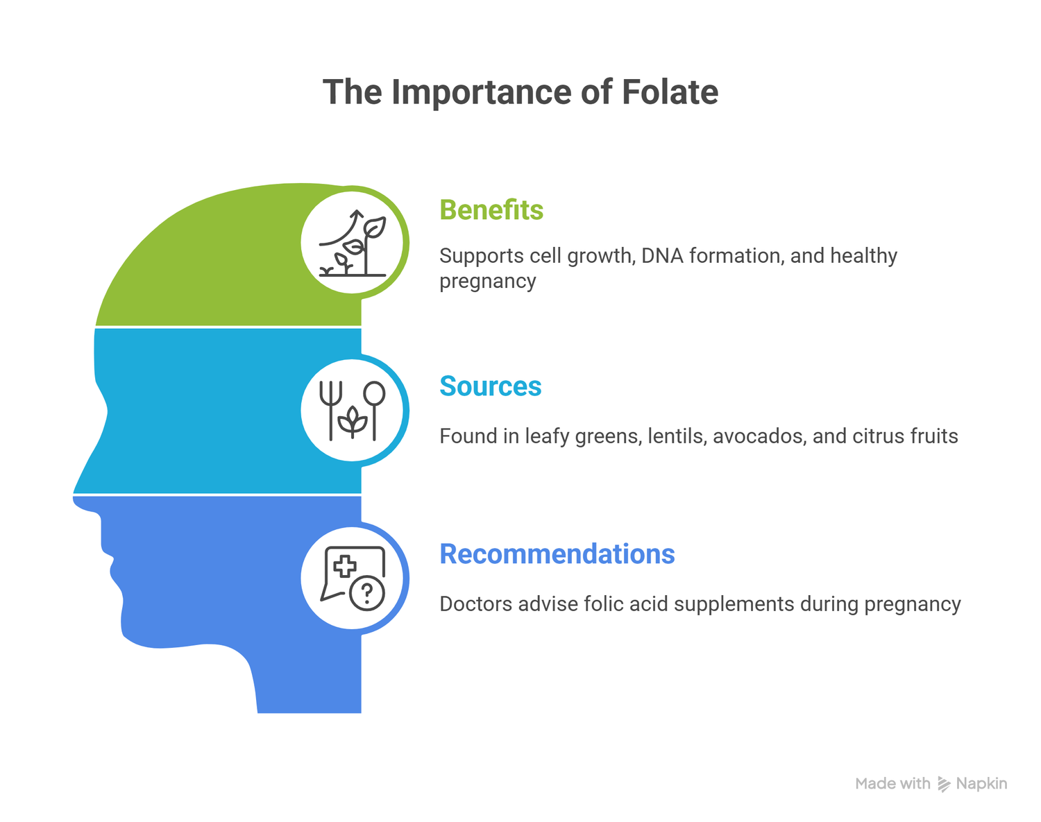 infograph about importance of folate