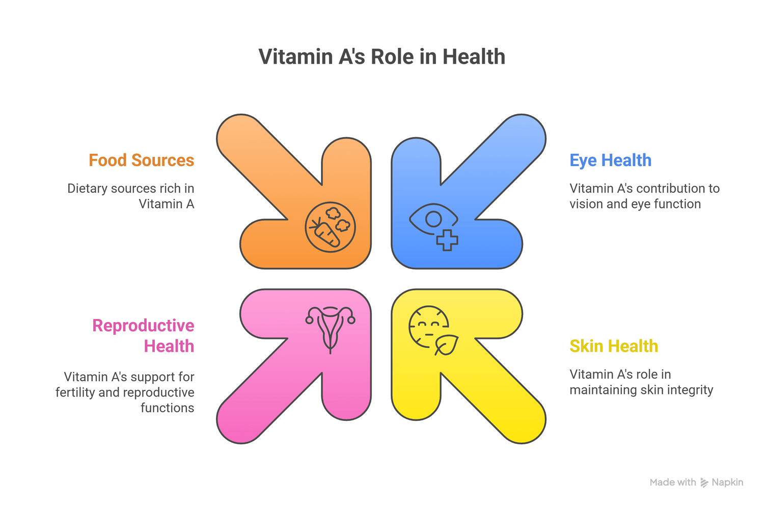 infograph of the role of vitaminA in health
