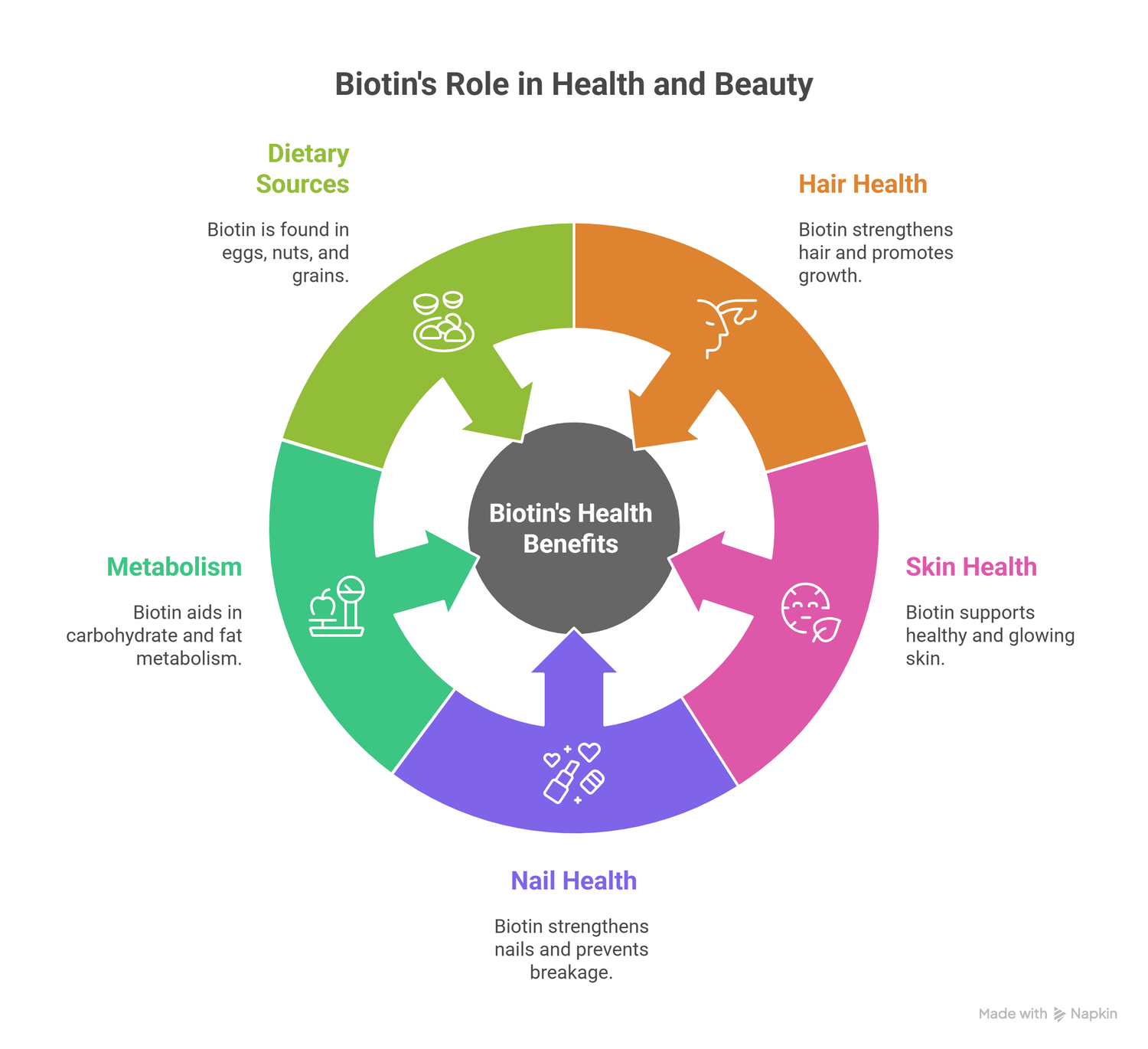 ifograph of the role of biotin in health and beauty