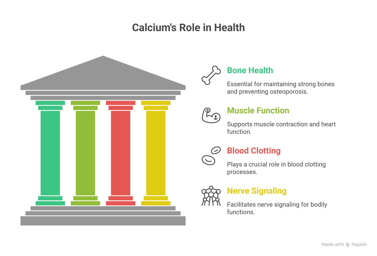 infograph of the role of calcium in health