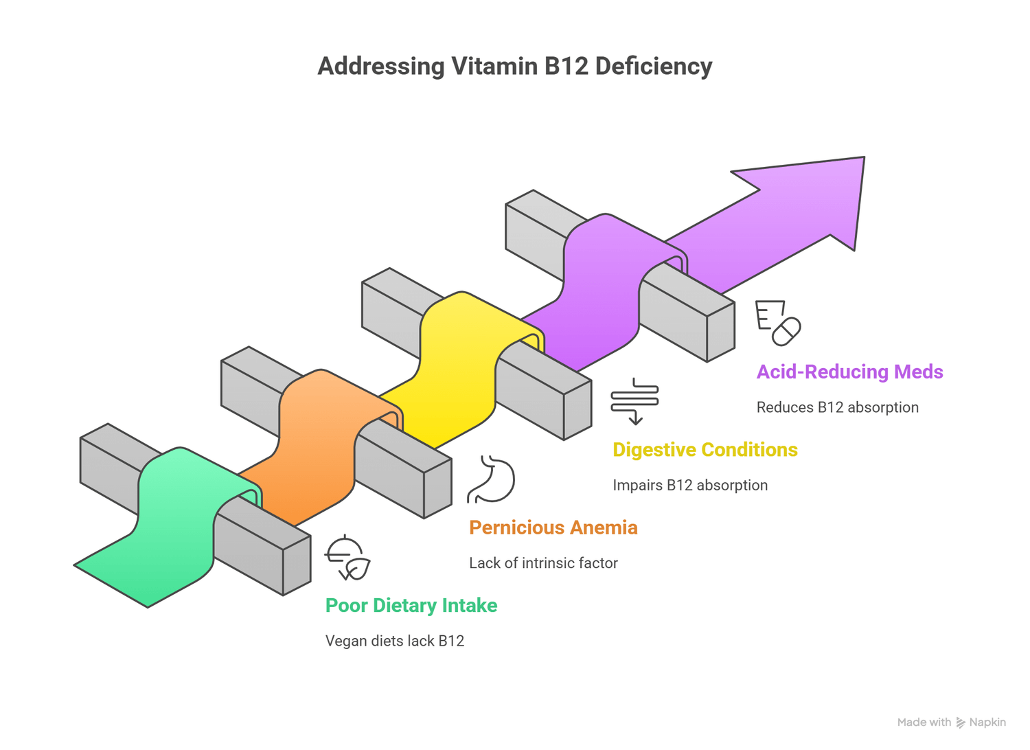 infograph of vitamin B12 causes