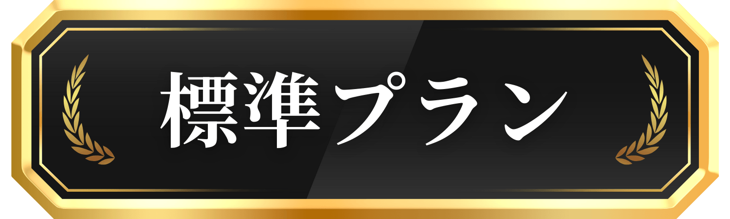 標準プラン