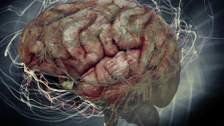 Illustratie van het brein met focus op dopamine en motivatie bij ADHD