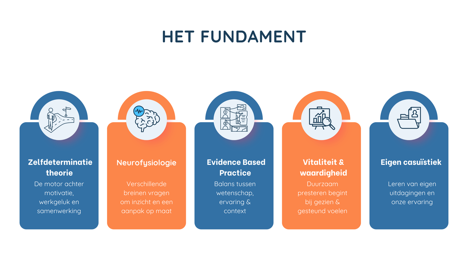 Infographic Consulters-aanpak: motivatie en werkgeluk, neurodiversiteit begrijpen, evidence based werken, vitaliteit en praktijkvoorbeelden