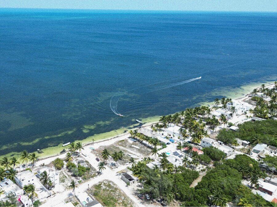 Santa Clara