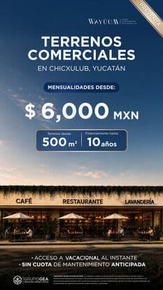 Opción Comercial 10 años