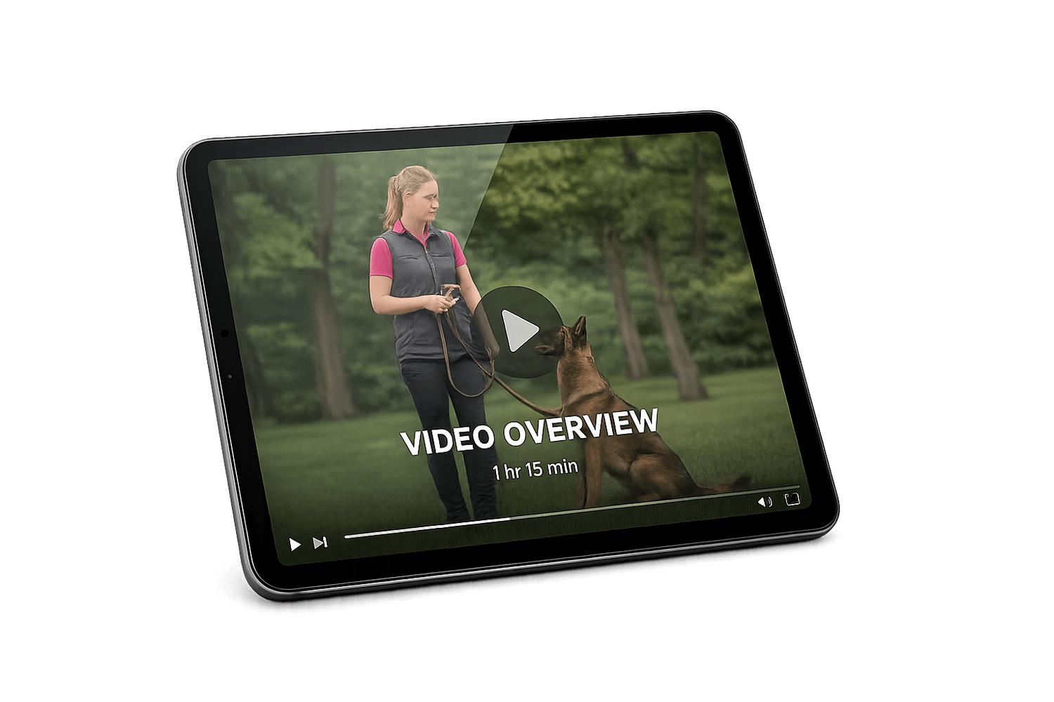 Video quick start bonus preview
