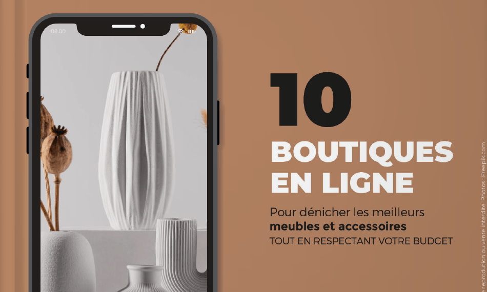 Obtenez le PDF 10 boutiques en ligne dès maintenant !