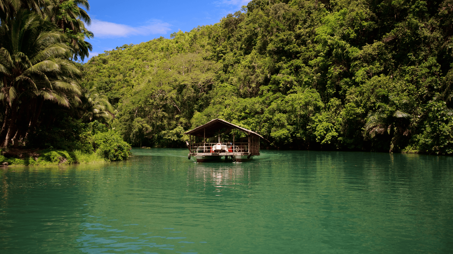 travel bohol