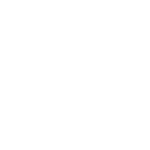 PinYourBusiness Logo weiß