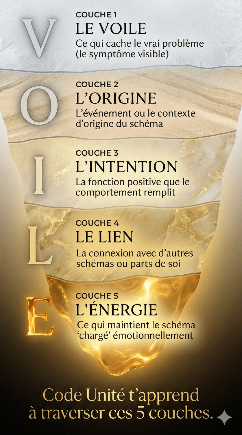 Le système V.O.I.L.E