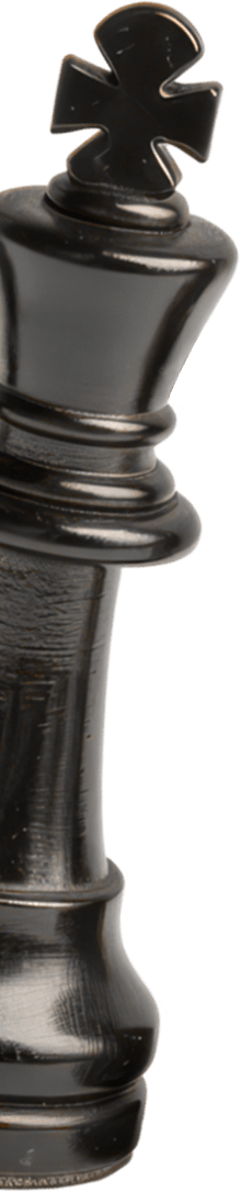 pion gauche