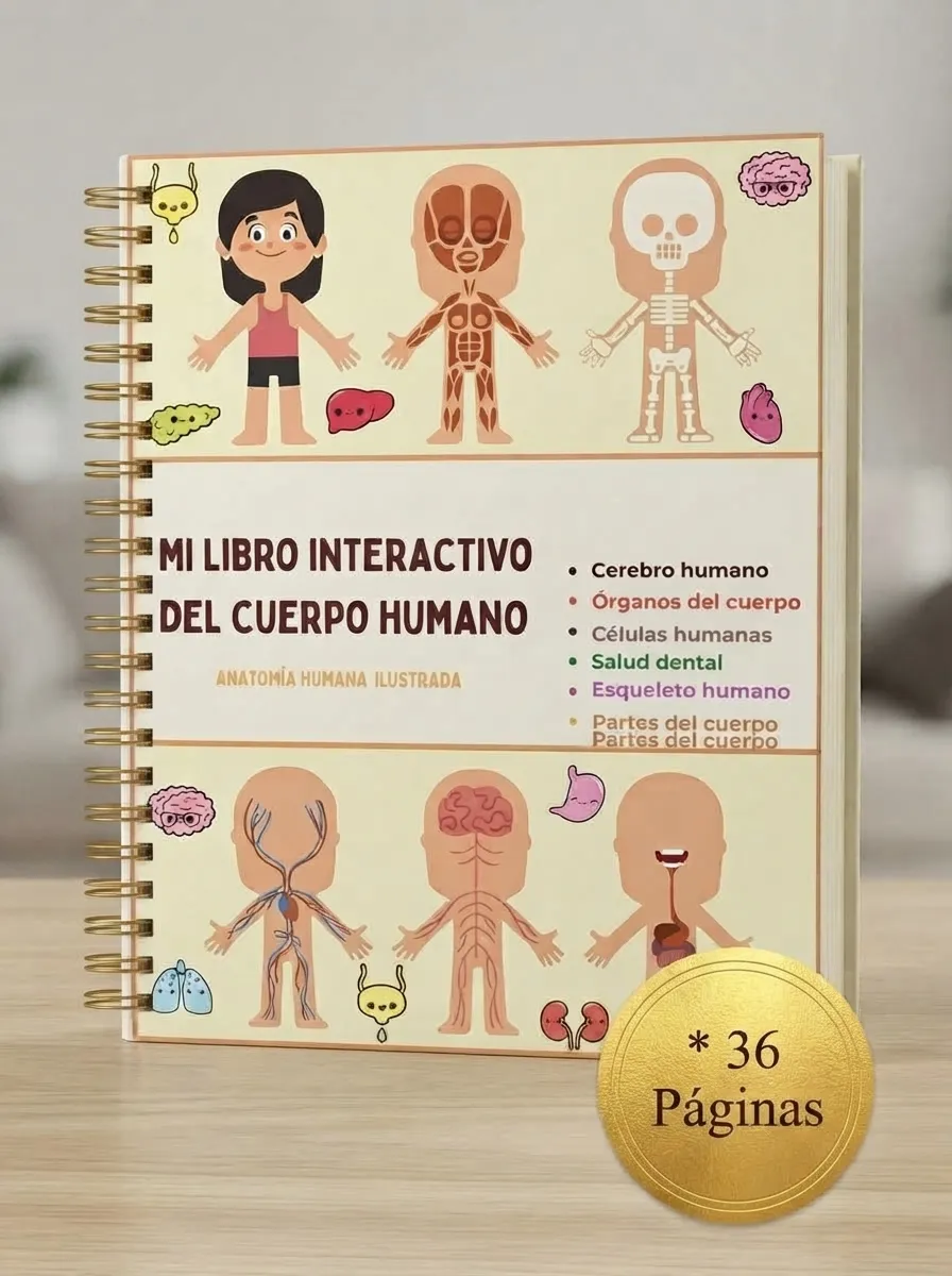 Cuerpo Humano