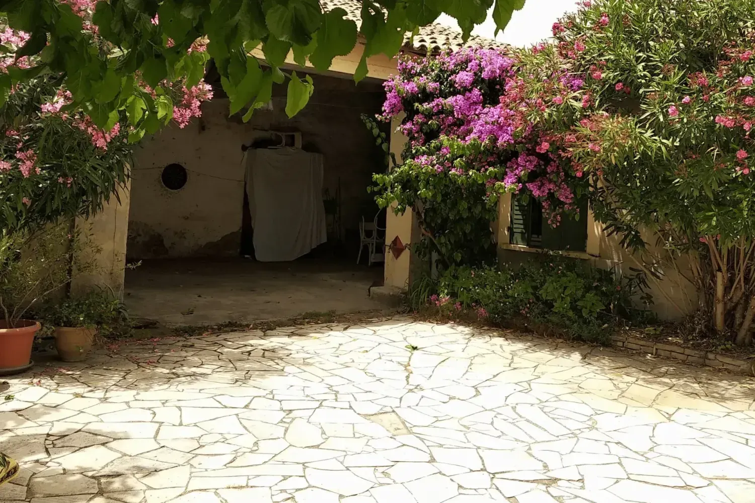 terrasse banasto préau