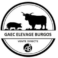 burgos