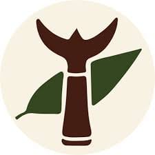 mas du trident