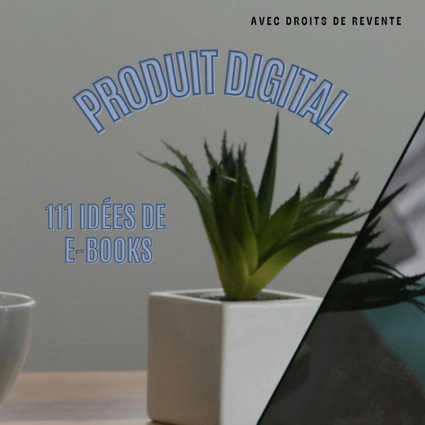 "JE VEUX FAIRE DES EBOOKS MAIS J'AI PAS D'IDEE, TU PEUX M'AIDER ?"