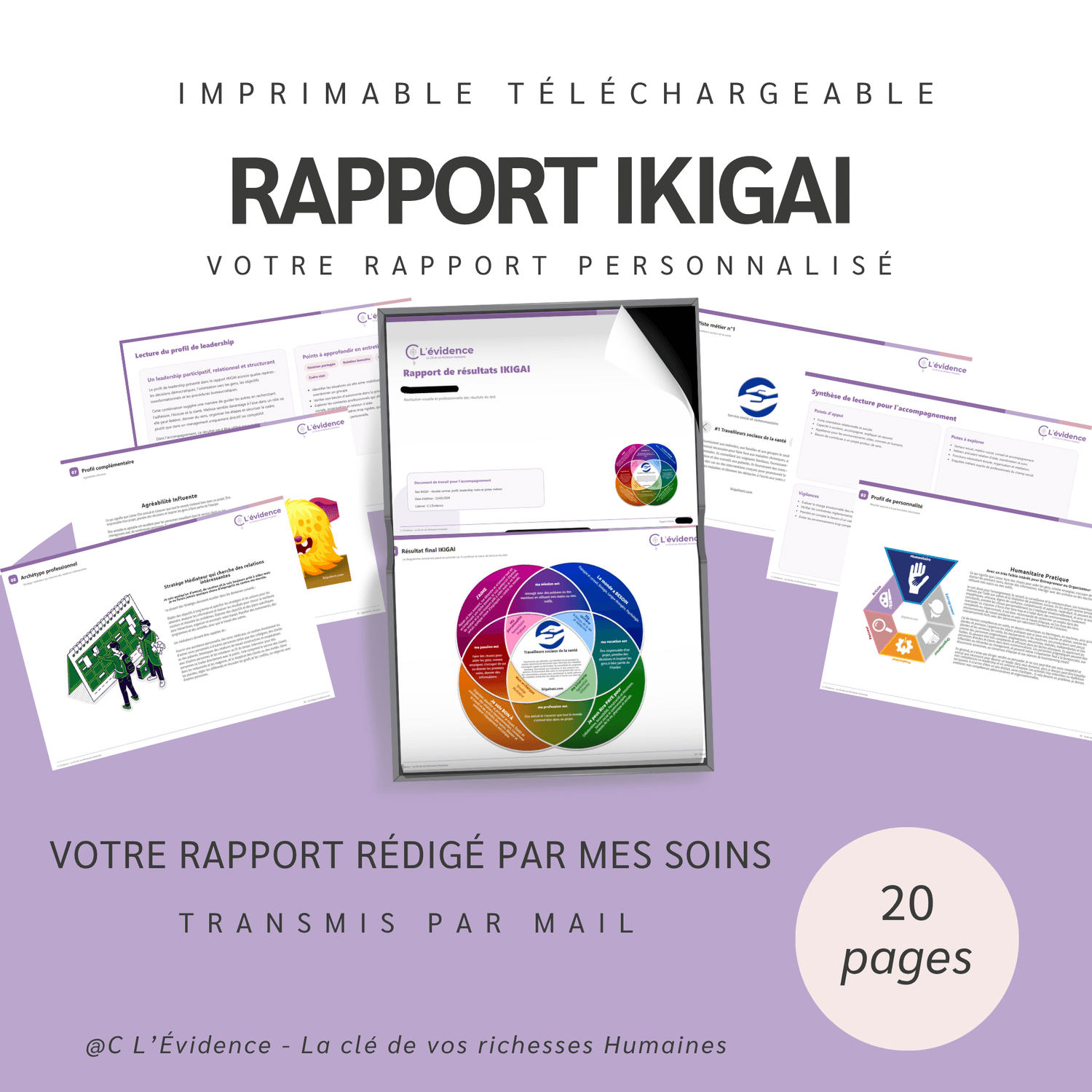 Mock-up du rapport professionnel IKIGAI personnalisé