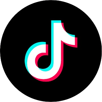 Link para o TikTok de Luís Barroso