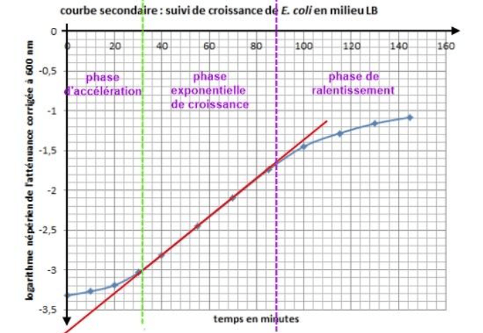 Alt : courbe de suivi de croissance des microbes dans nos bacs à ordures
