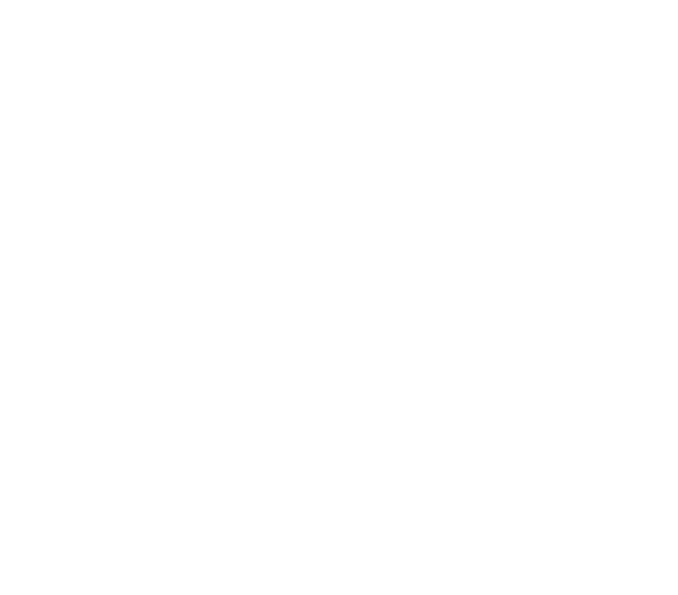 Asesor Profesional de Seguridad
