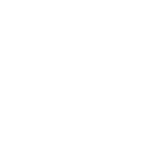 Diploma Profesional de Seguridad - DPS®