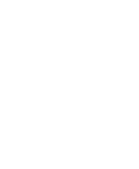 Diploma Profesional en Investigaciones - DPI