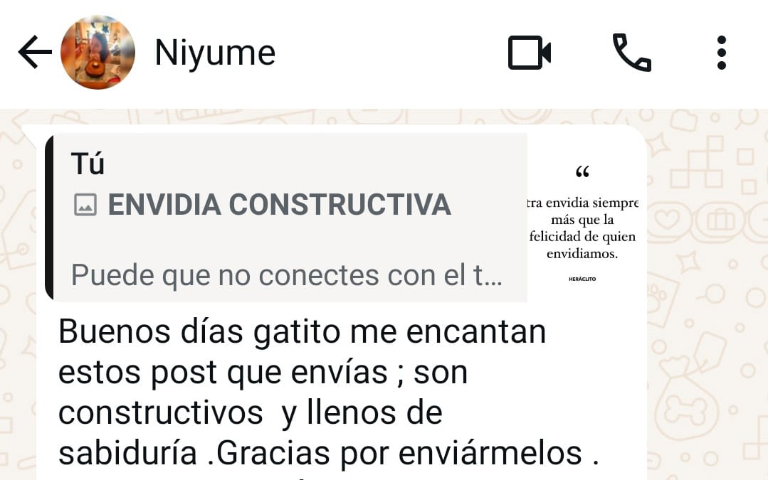 Comentarios y testimonios de lectores de El Mensaje de HOY validando la transformación y alineación energética semanal. "Buenos días gatito, me encantan estos posts que envías, son constructivos y llenos de sabiduría. Gracias por enviármelos." (Niyume)