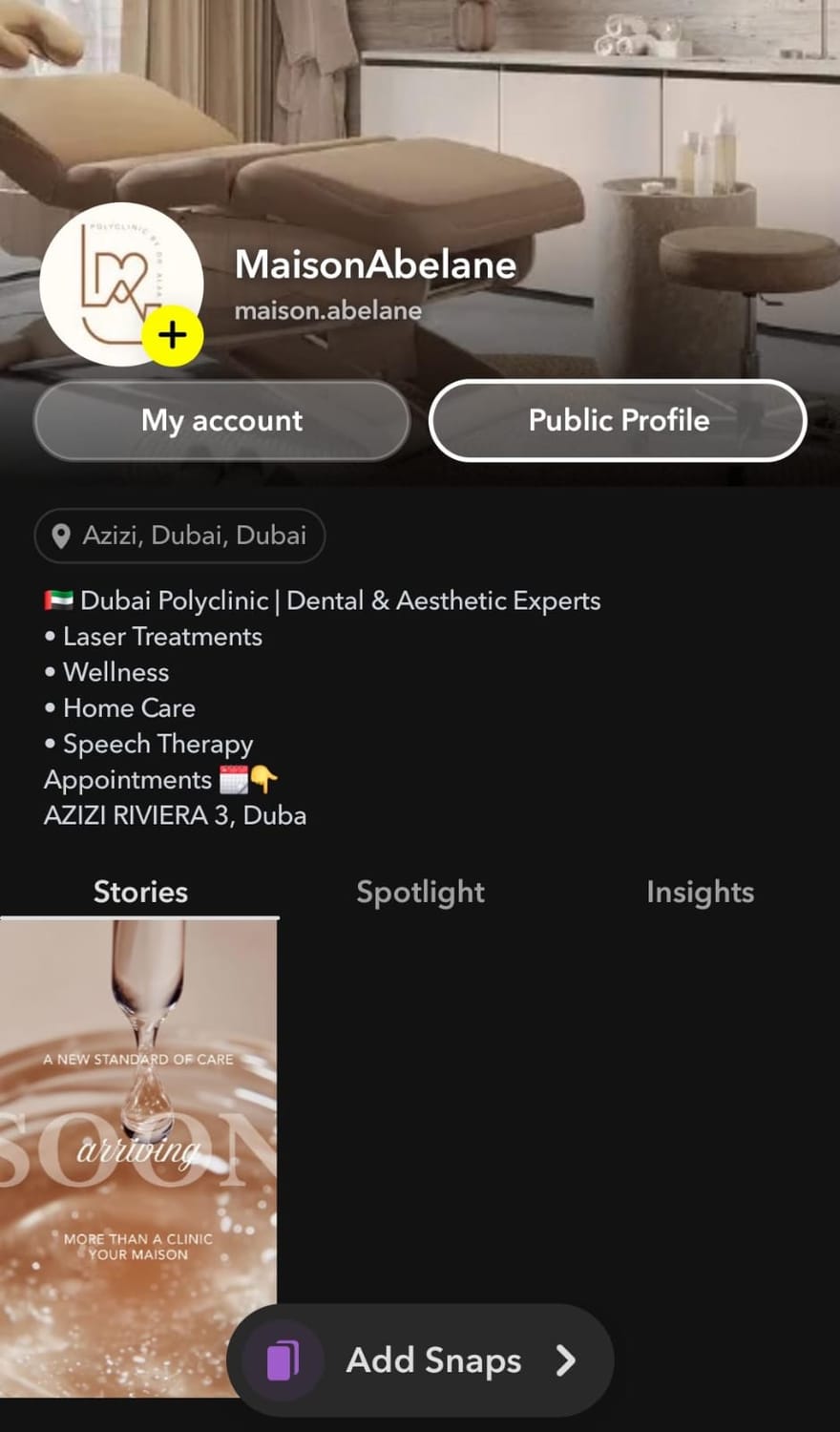 Snapchat Account Preview