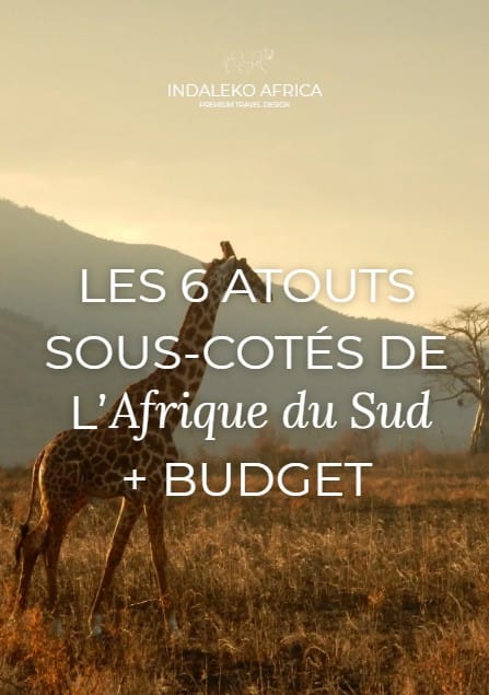 Aperçu de l'ebook Indaleko Africa