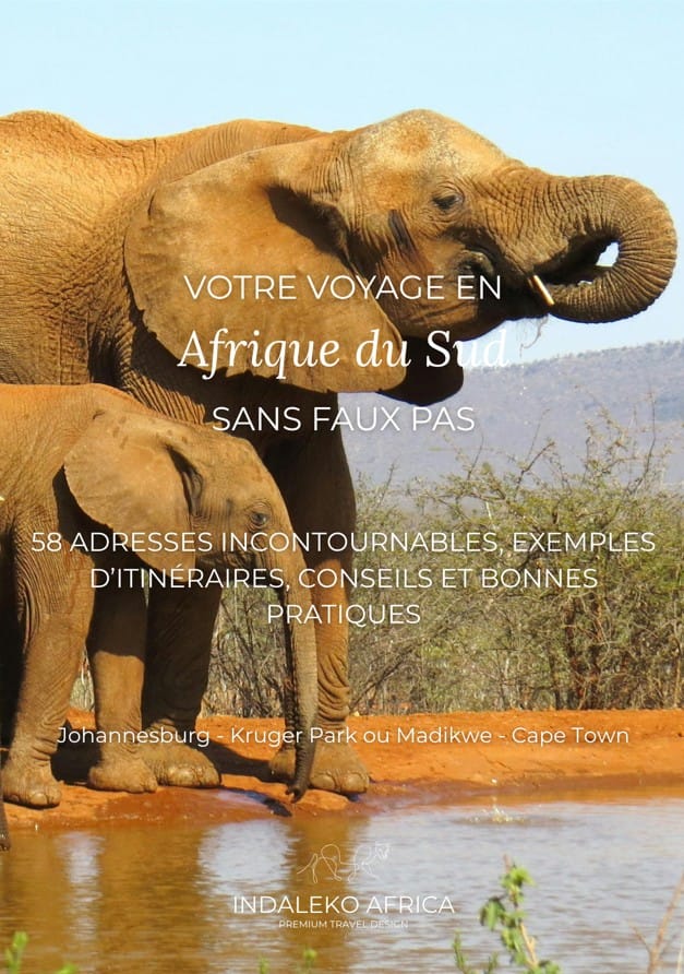 Aperçu du guide Afrique du Sud