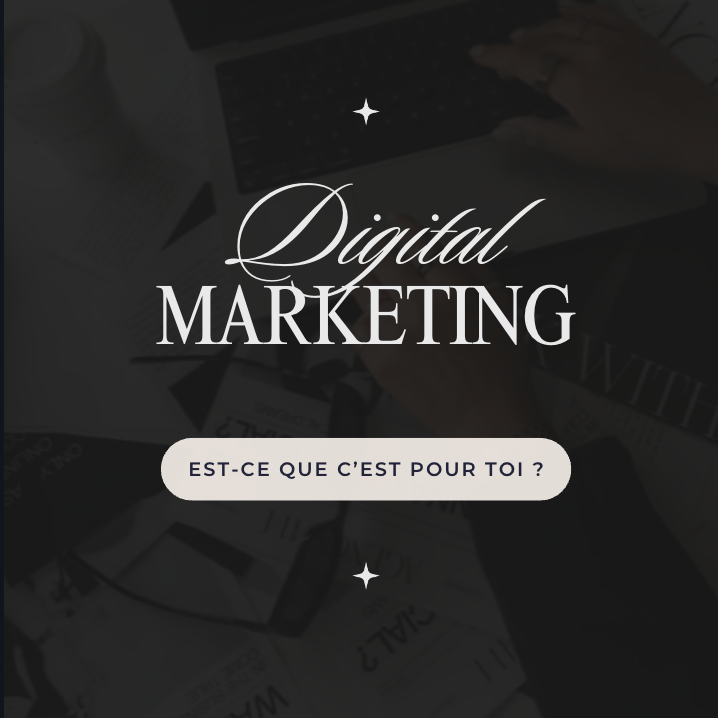 LE MARKETING DIGITAL