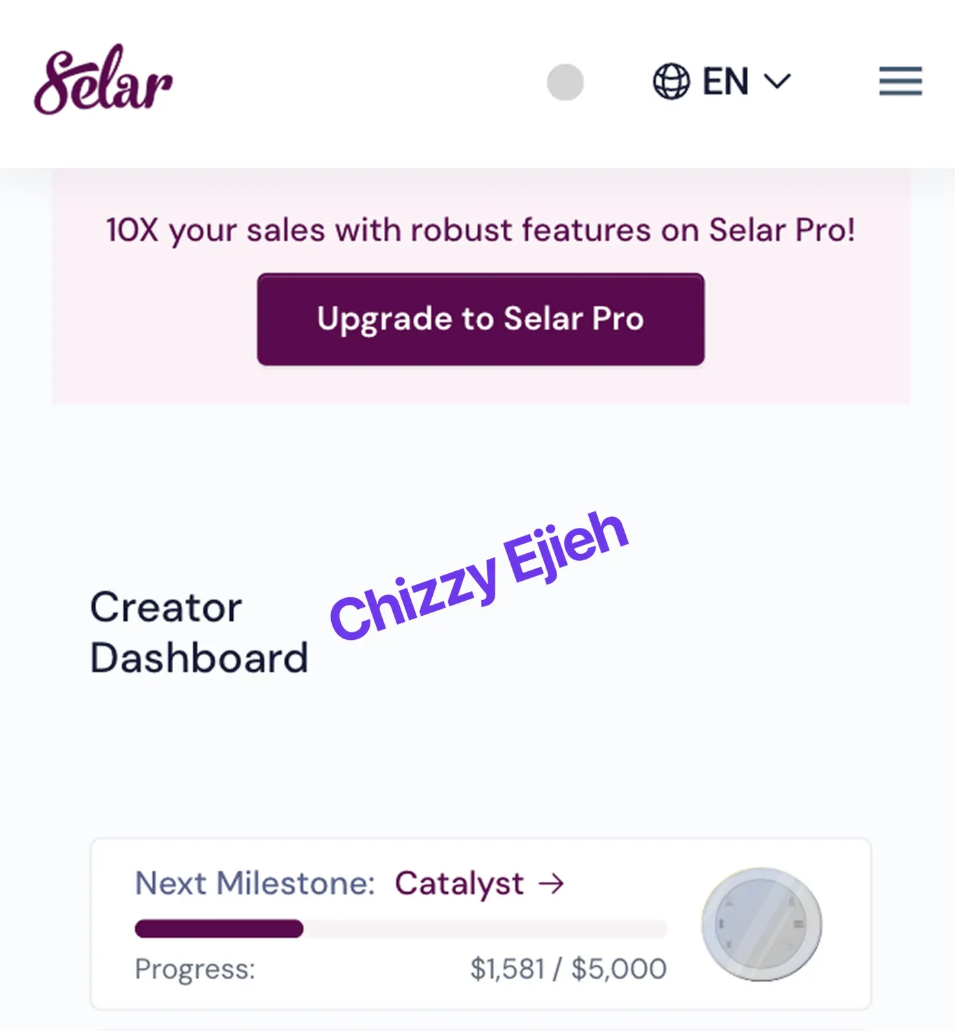 Selar store dashboard result