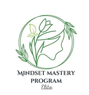 mindset mastery progam