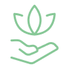 wellness workshop