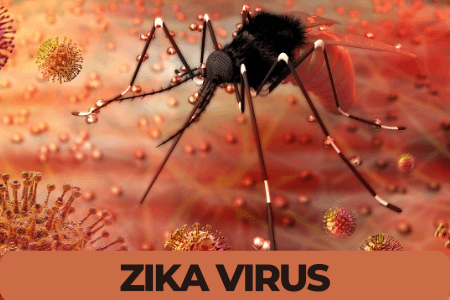 Zika Virus 
