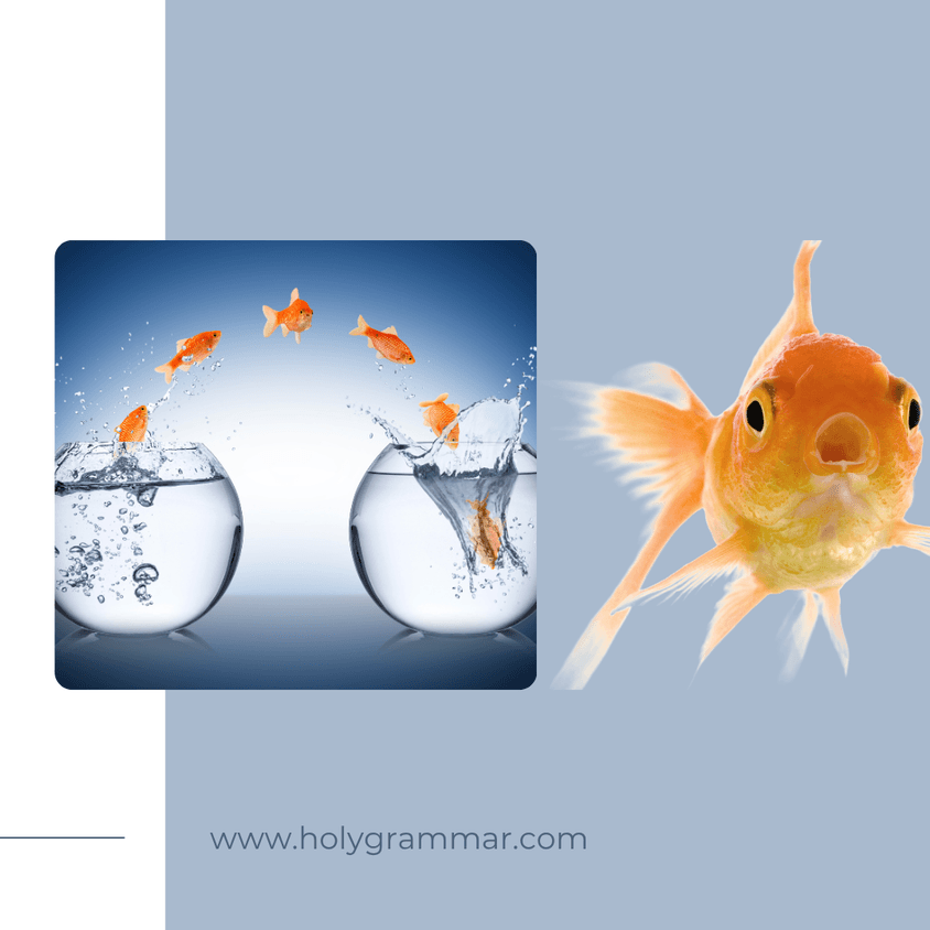 C2 - On the Cusp of Change