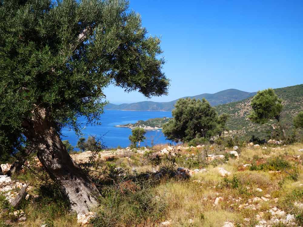 Griechenland Grundstück Lefkada