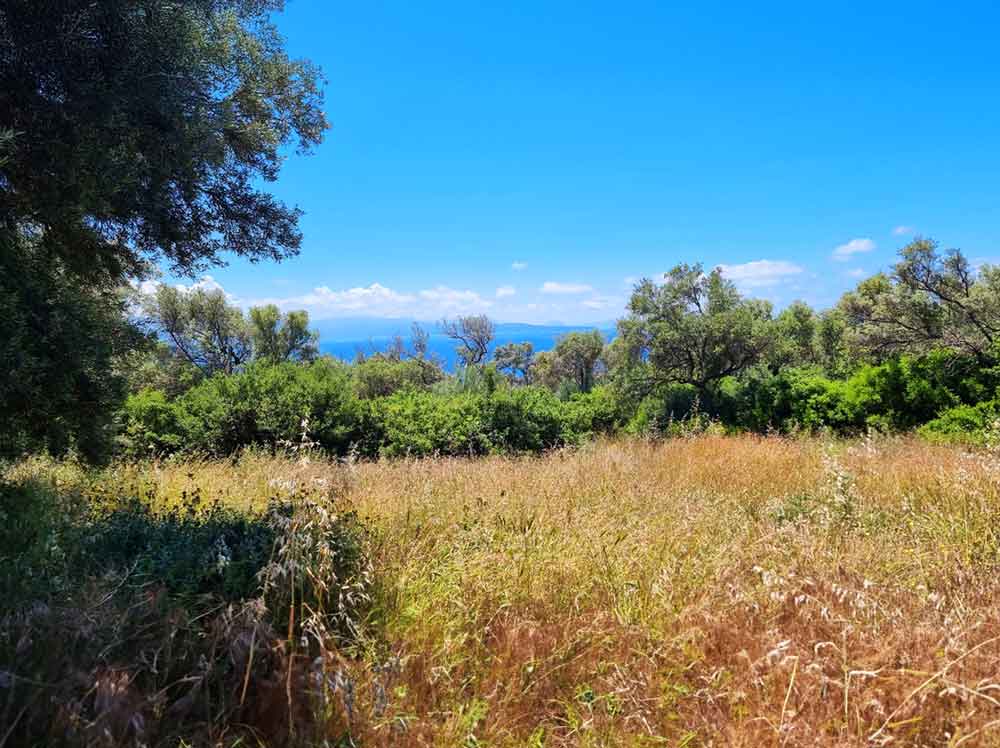Griechenland Grundstück Lefkada