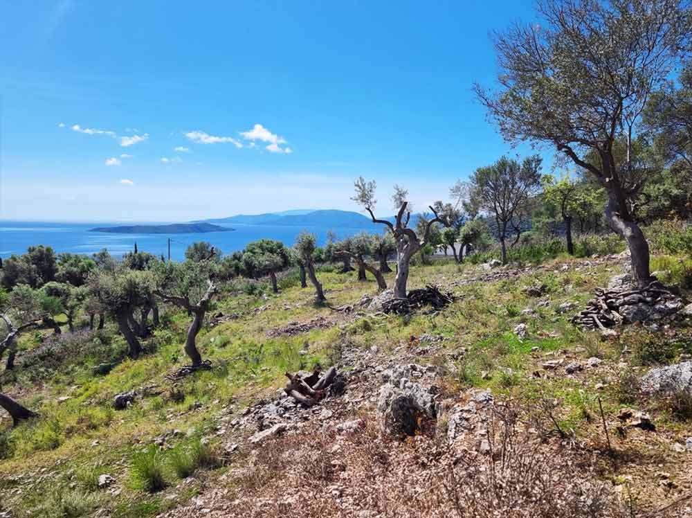Griechenland Grundstück Lefkada