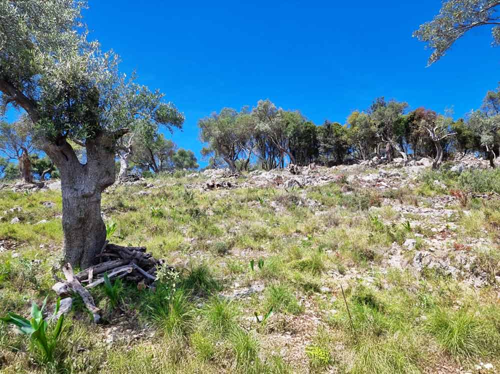 Griechenland Grundstück Lefkada