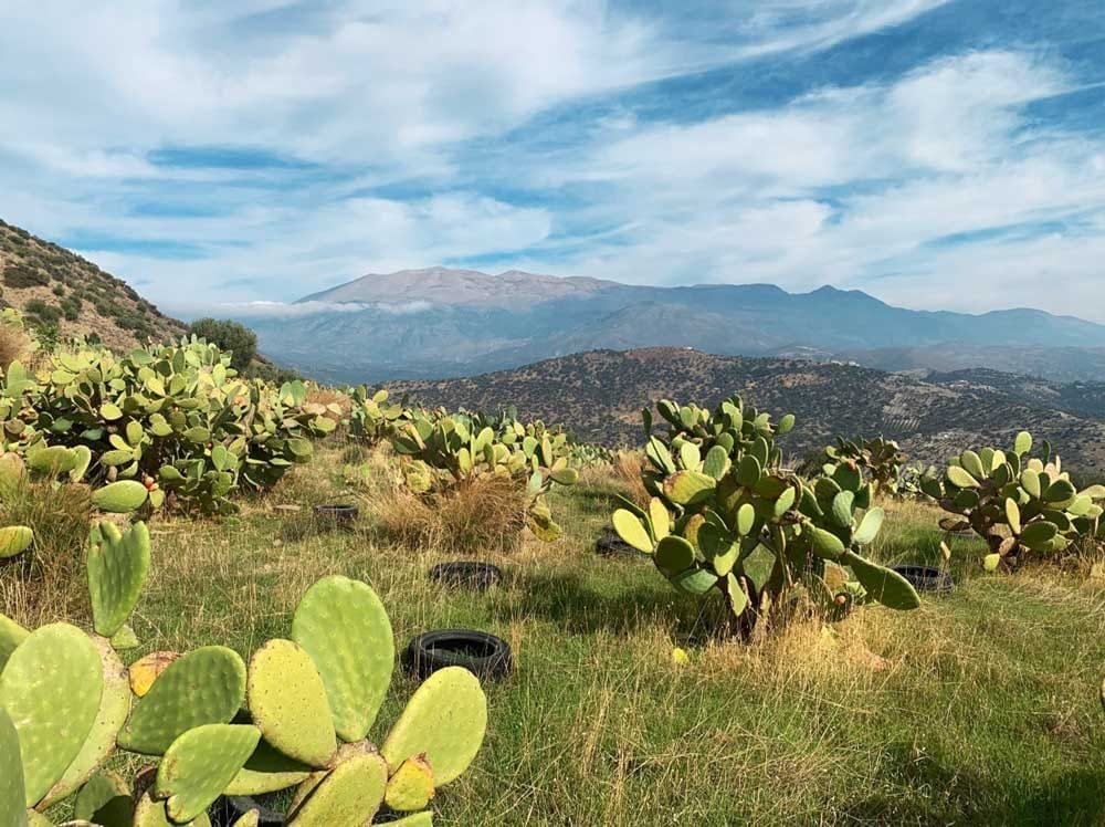 Griechenland Grundstück Süd-Kreta