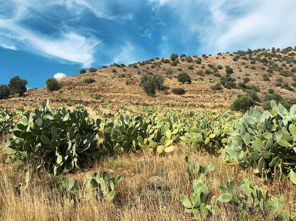 Griechenland Grundstück Süd-Kreta